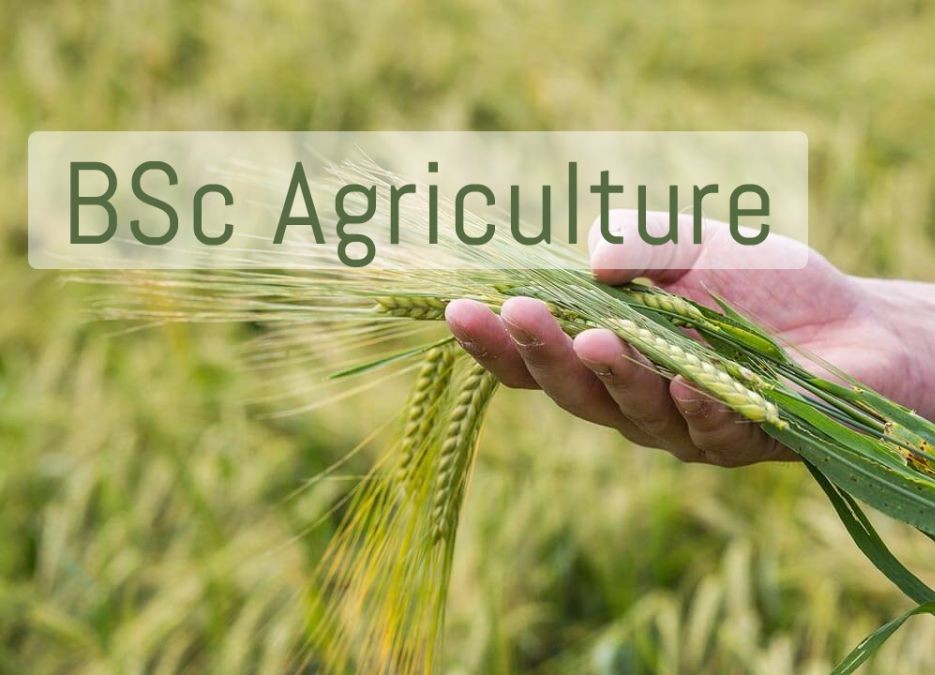 B.Sc Agriculture program