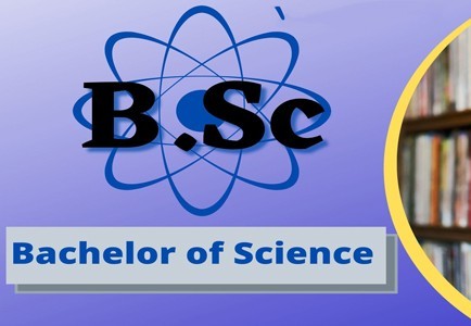 B.Sc IT/Computer Science program