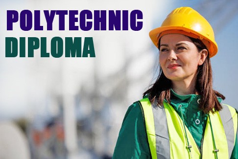 Polytechnic/Diploma program