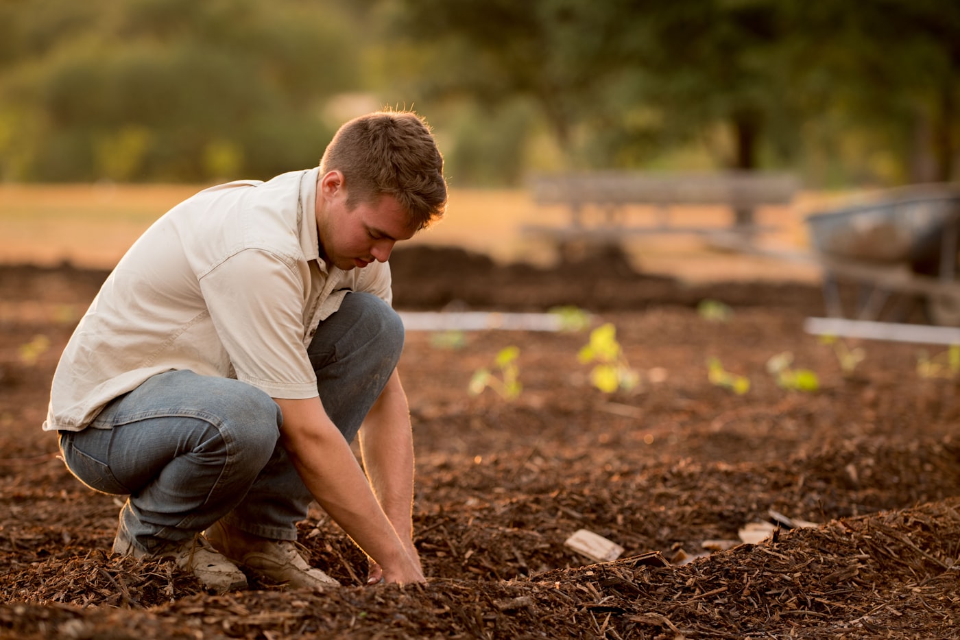 Smart farming technology in an agricultural field